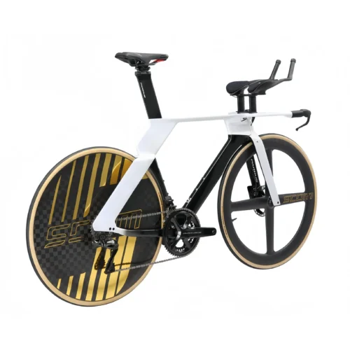 Aerodynamic Road Bike - Tri-Spoke Front Wheel | Enclosed Rear Wheel | Black White Gold Accent