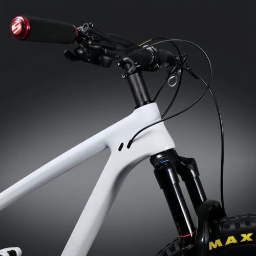 Trail Carbon Mountain Bike - Light Frame | RockShox Suspension | Maxxis Tires