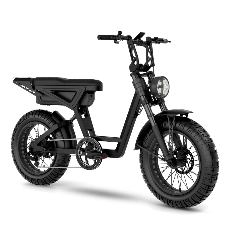 Dual-Purpose Fat Tire Scrambler E-Bike (City/Off-Road)