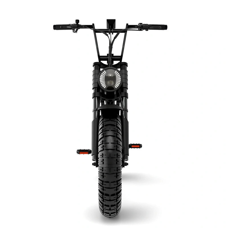 Dual-Purpose Fat Tire Scrambler E-Bike (City/Off-Road)
