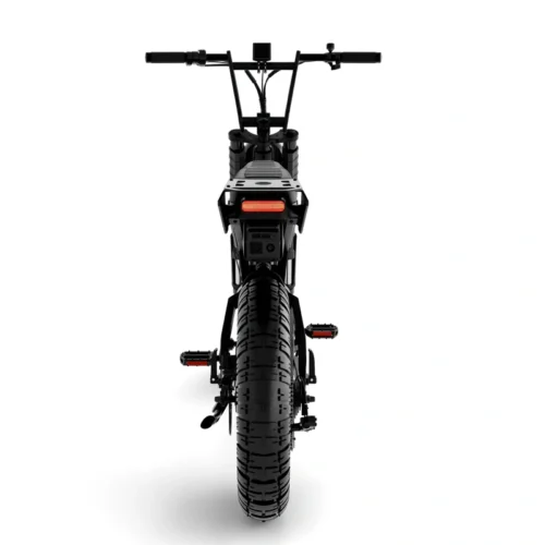 Dual-Purpose Fat Tire Scrambler E-Bike (City/Off-Road)