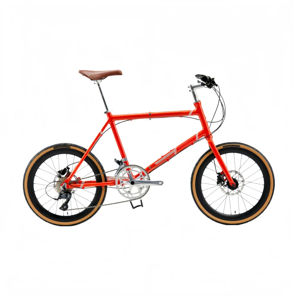 F05PB-1 10-Speed Gearing Aluminum Alloy Folding Bike with Disc Brakes