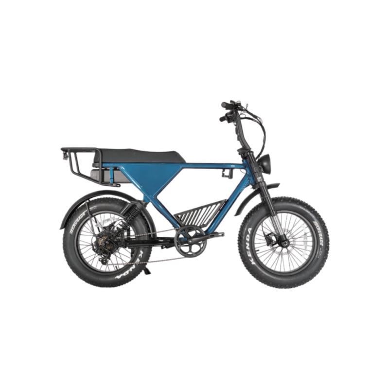 All-Terrain Fat Tire E-Bike | 750W Motor & Cargo-Carrying Design