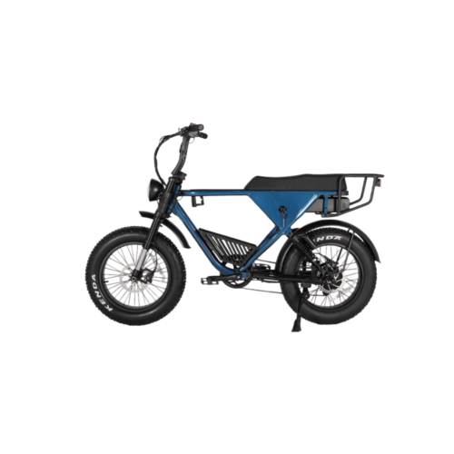 S205TA-2 All-Terrain Fat Tire E-Bike | 750W Motor & Cargo-Carrying Design
