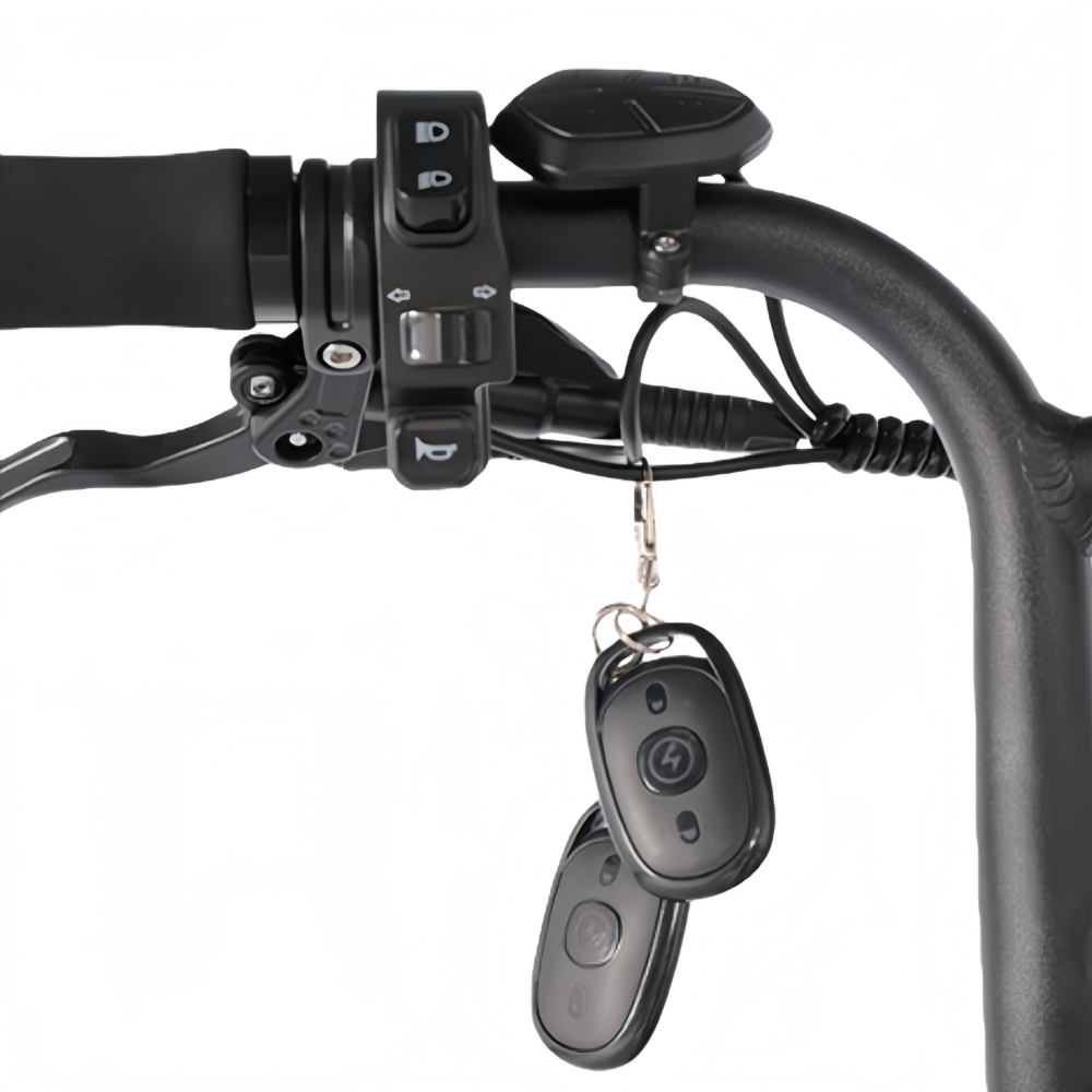 S205TA-5 All-Terrain Fat Tire E-Bike | 750W Motor & Cargo-Carrying Design