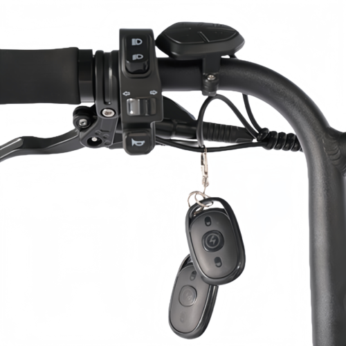 S205TA-5 All-Terrain Fat Tire E-Bike | 750W Motor & Cargo-Carrying Design