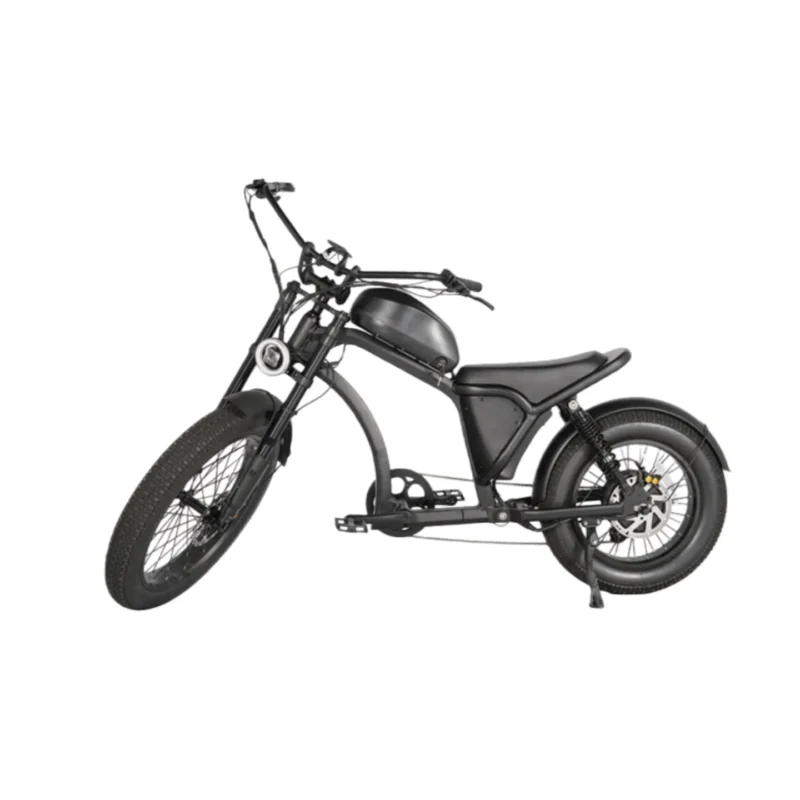Electric Bike for Adults,2000W Brushless Motor 60V/20Ah Up to 50-80 Miles E-Bike Front/Rear Turn Signal Dual Suspension Ebikes
