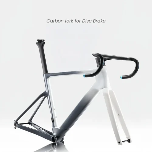 700C Carbon Road Bike Frame Fully Hidden Cable FrameSet Thru Axle 142 Disc Brake