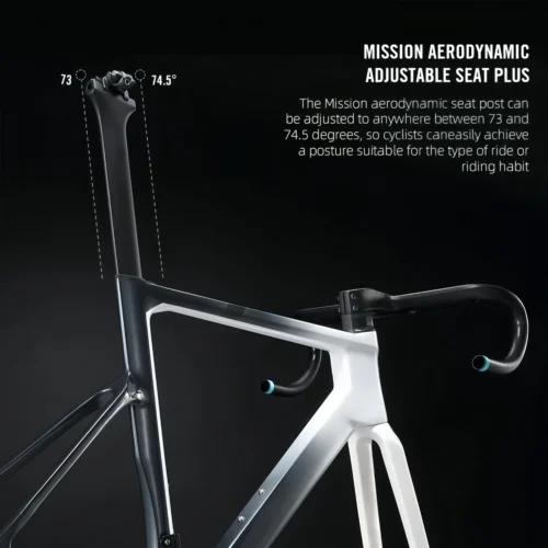 700C Carbon Road Bike Frame Fully Hidden Cable FrameSet Thru Axle 142 Disc Brake