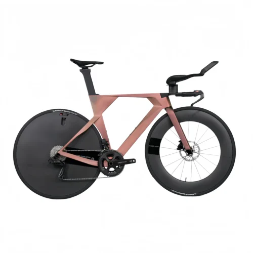 TT-VEGA Closed Carbon Wheel UCI Aerodynamic Integrated Carbon Frame 700C Disc Brake Time Trial Road Bicycle