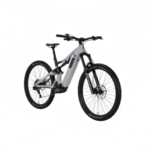 TSP301-2 ABS Trail-Ready Full-Suspension Electric Mountain Bike